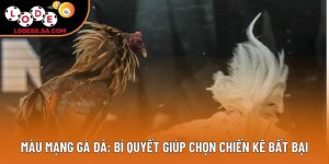 Màu Mạng Gà Đá: Bí Quyết Giúp Chọn Chiến Kê Bất Bại