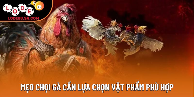 Mẹo chọi gà cần lựa chọn vật phẩm phù hợp
