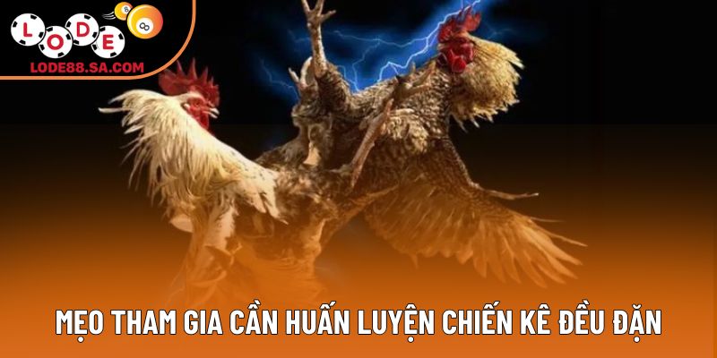 Mẹo tham gia cần huấn luyện chiến kê đều đặn