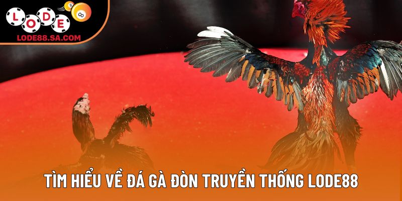 Tìm hiểu về đá gà đòn truyền thống lode88